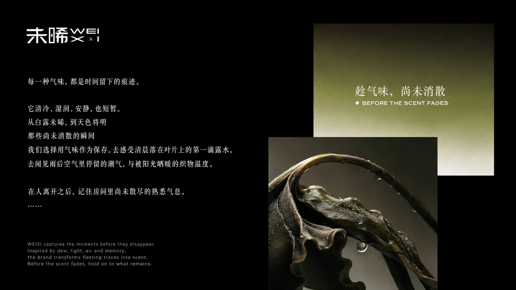 未晞品牌设计 4