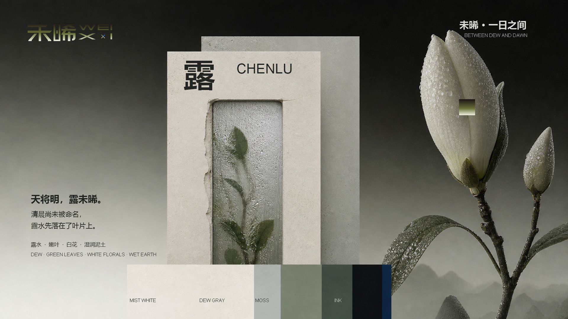 未晞品牌设计 7