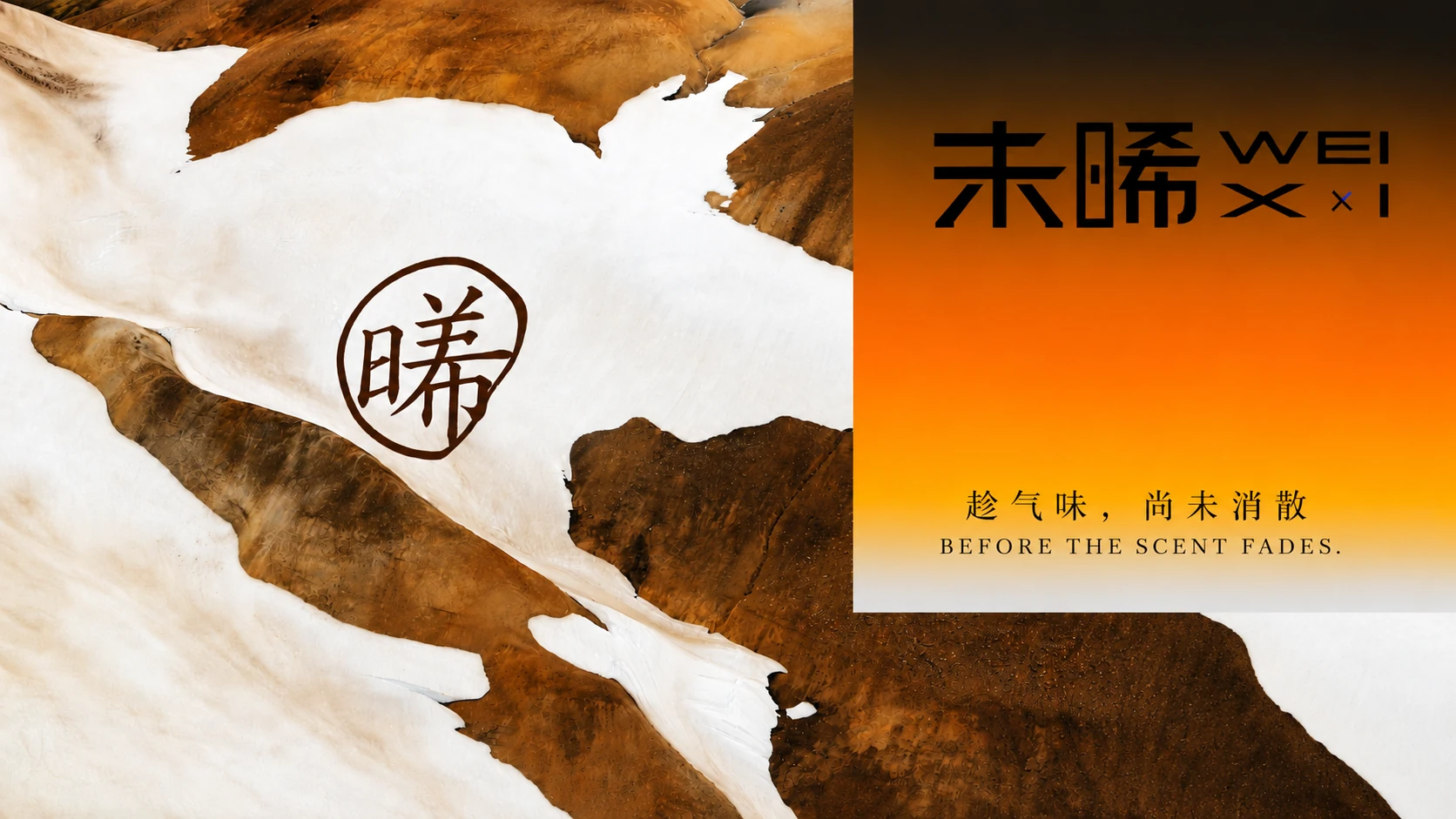 未晞品牌设计 9