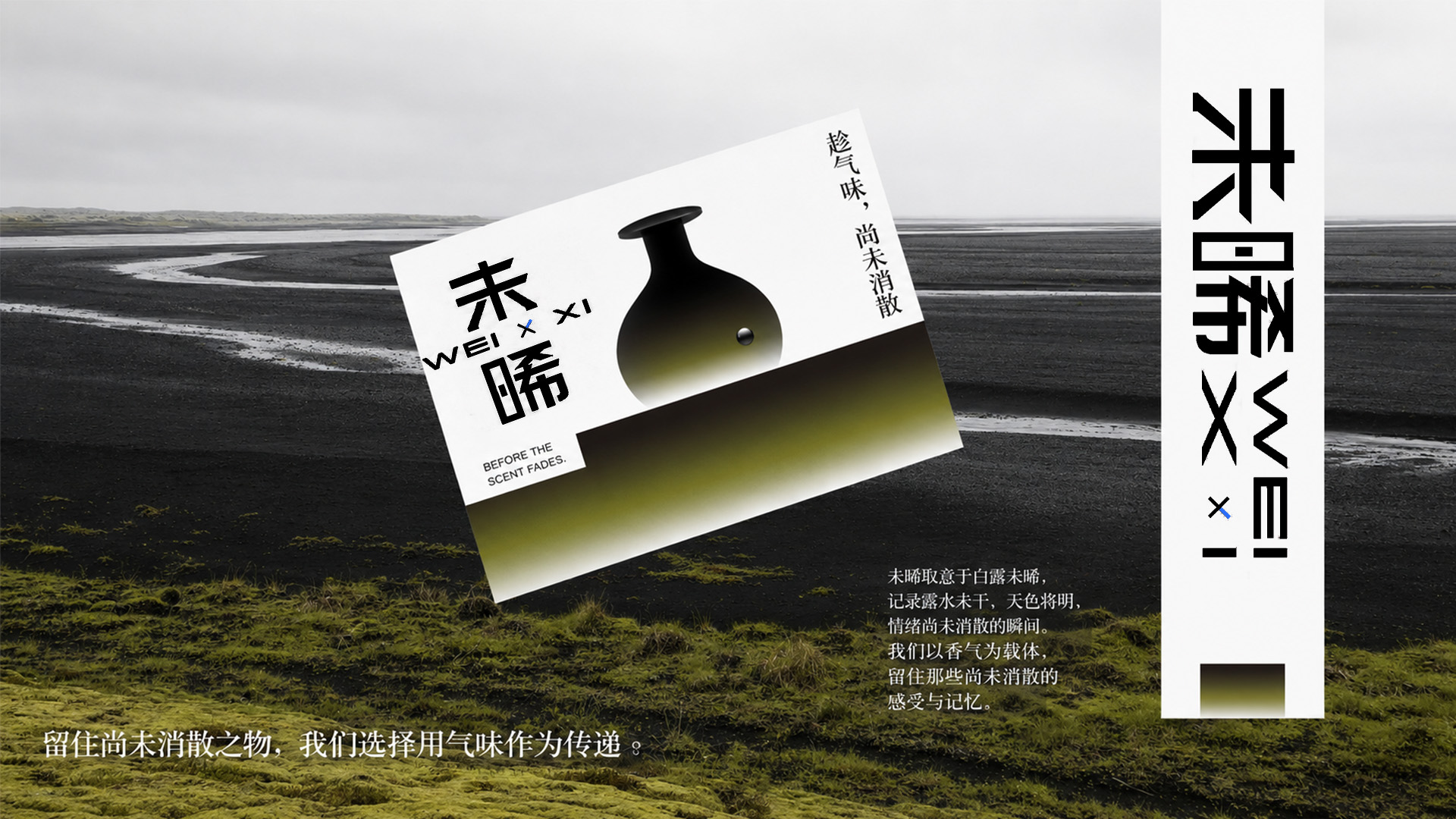 未晞品牌设计 19