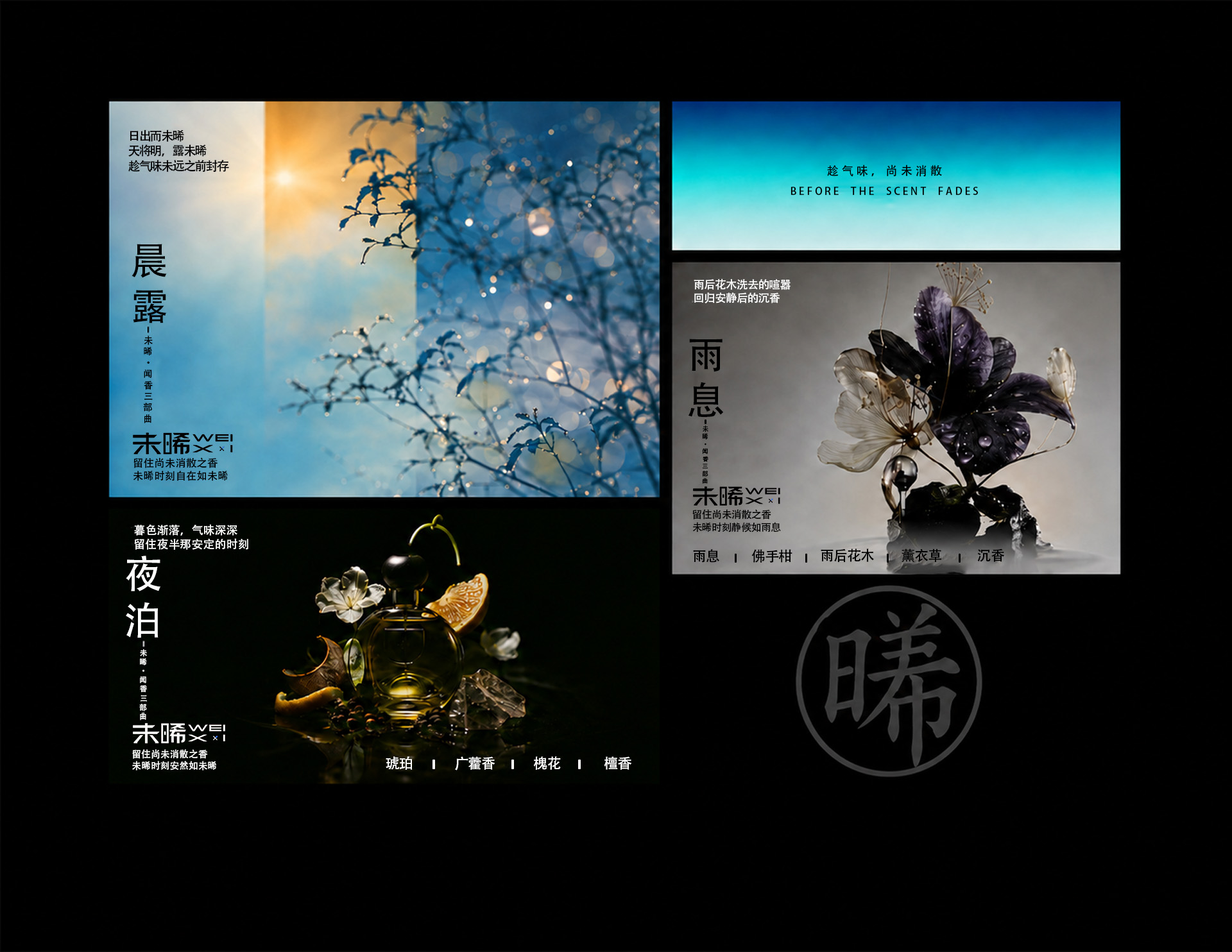 未晞品牌设计 20