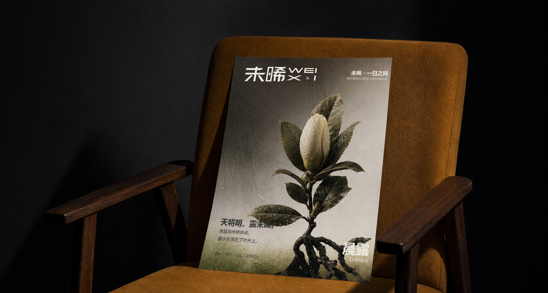 未晞品牌设计 22