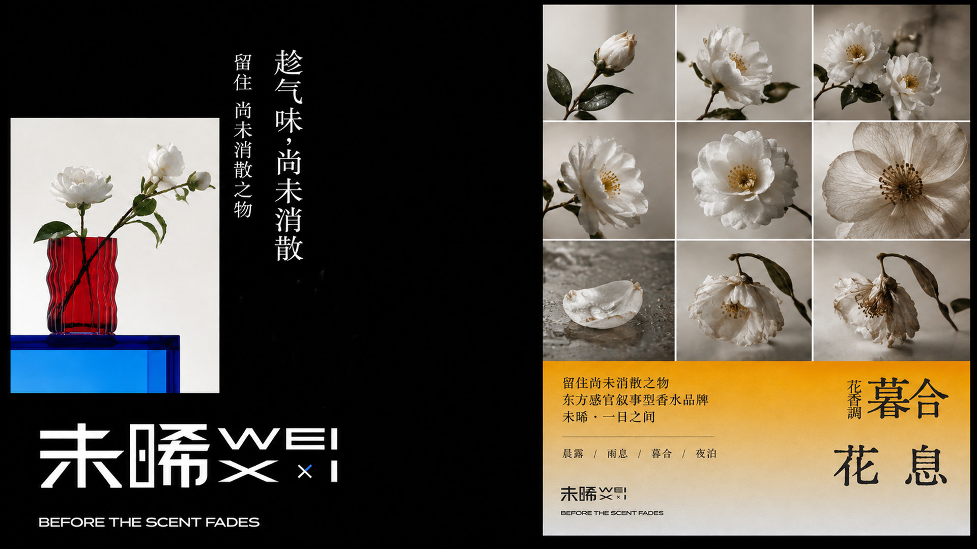 未晞品牌设计 23