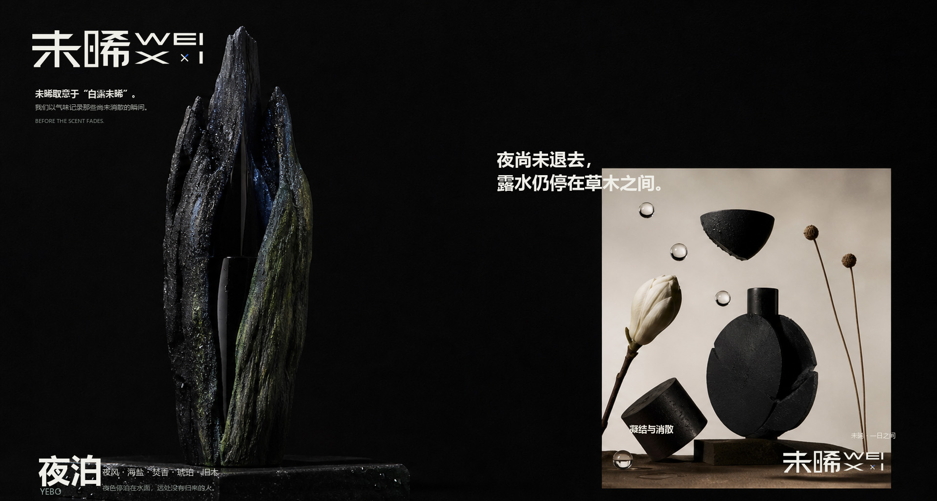 未晞品牌设计 24